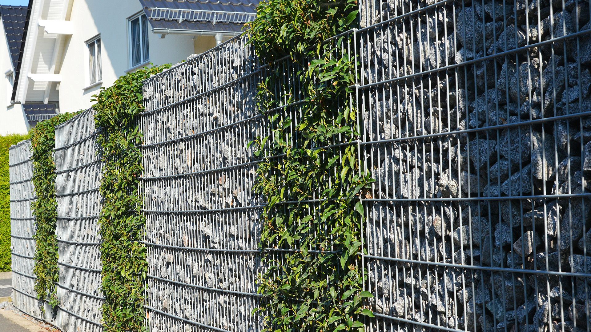 Gabionenzaun mit Begrünung